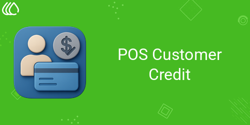 POS Customer Credit