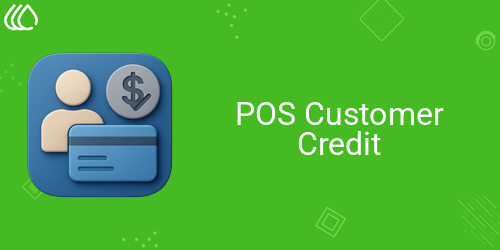 POS Customer Credit