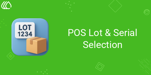 POS Lot & Serial Selection