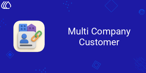 Multi Company Customer