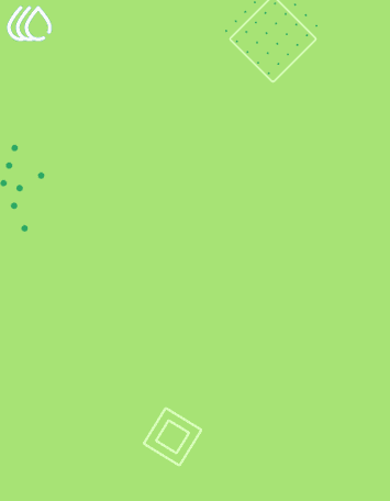 Multiple Branch Purchase (19.0)