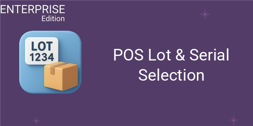 POS Lot & Serial Selection For Enterprise