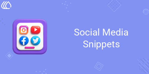 Social Media Snippets