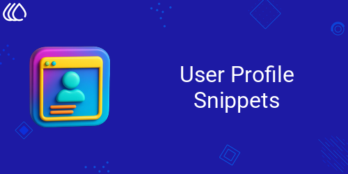 User Profile Snippets