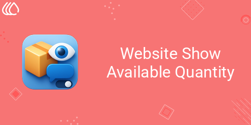 Website Show Available Quantity
