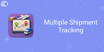 Multiple Shipment Tracking