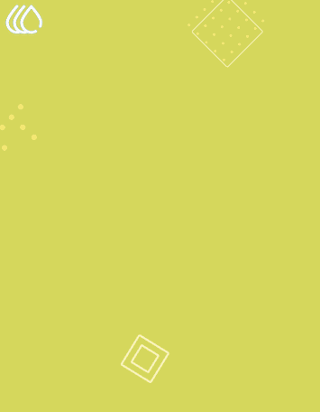 Advance Product Search in SO (19.0)