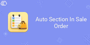 [eg_auto_section_sale_order_V19] Auto Section In Sale Order (19.0)