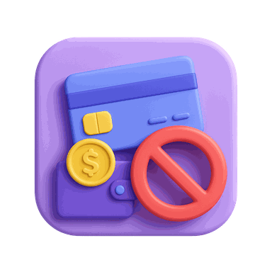 Website Payment Provider Restriction